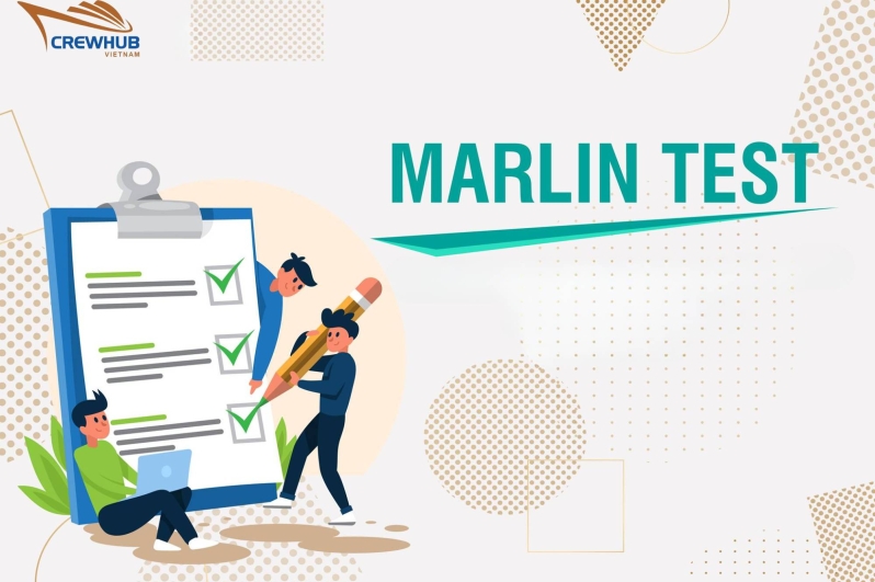 Chứng Chỉ Marlins English Test là gì